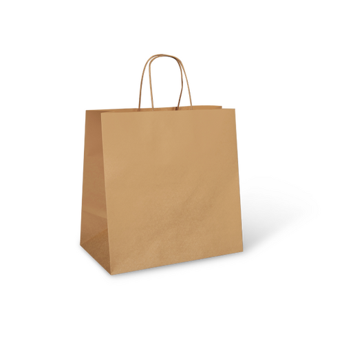 DP PAPER CARRY BAG (UBER) 300X300X175MM