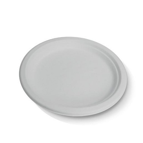 SUGARCANE COMPOSTABLE PLATE 10" 50PK